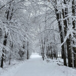 Severe Weather Vermont