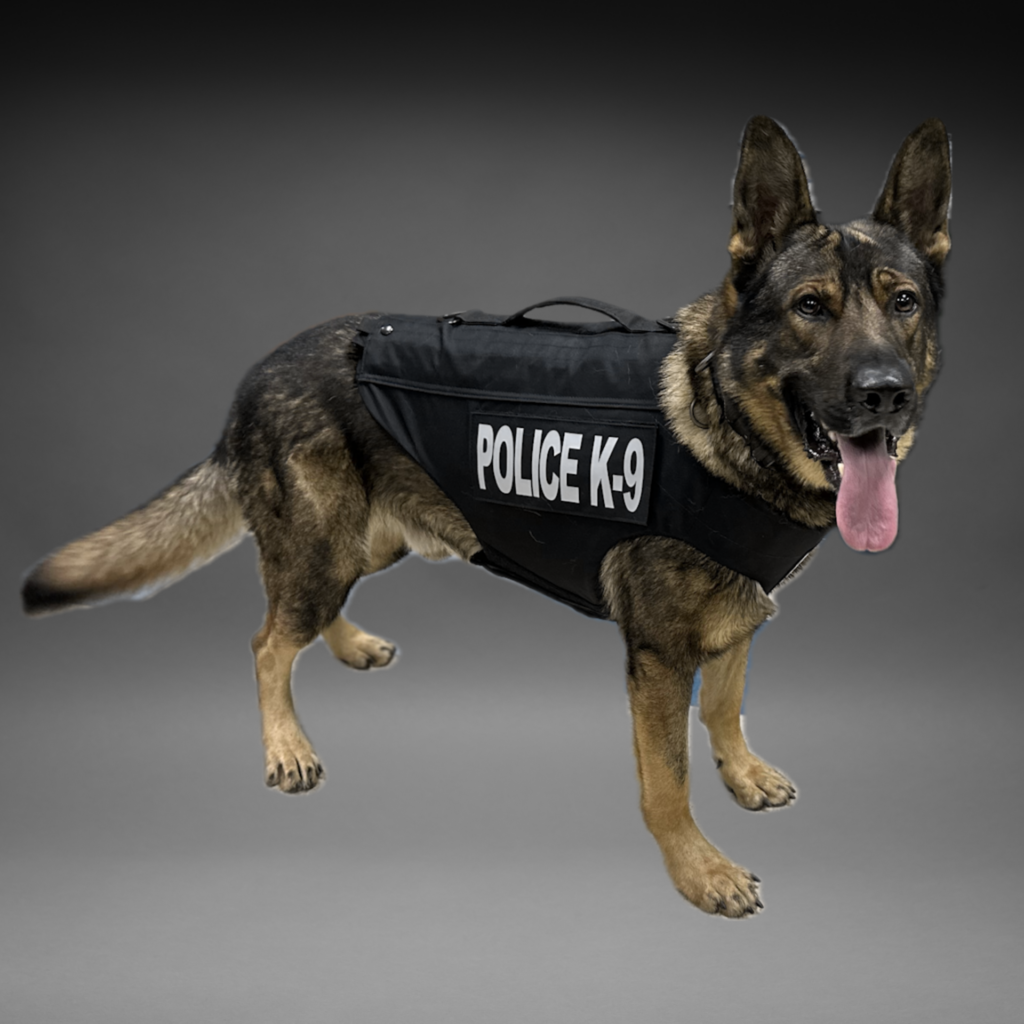 Stanley K9