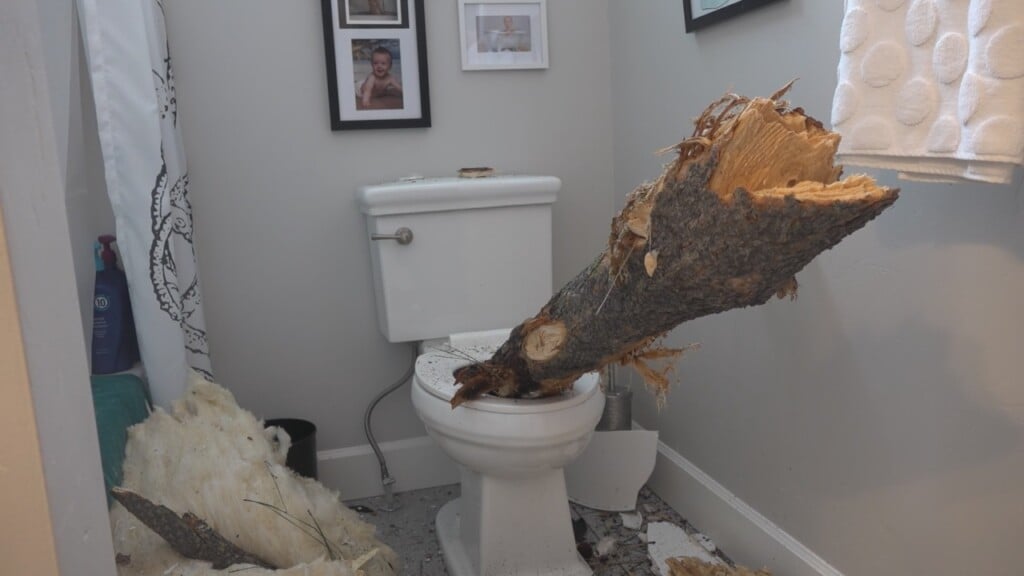 ‘perfect Storm Winds Send Tree Limb Into Mans Toilet Wwaytv3