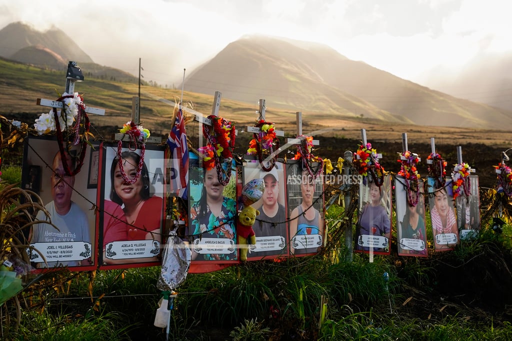 Hawaii Wildfire Victim Identifications