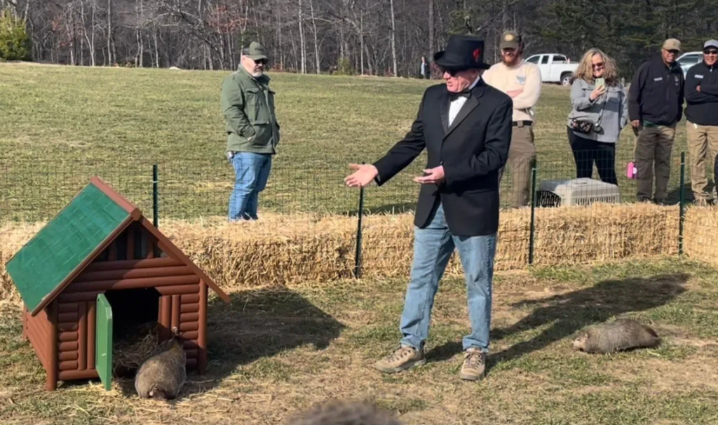 Groundhogs