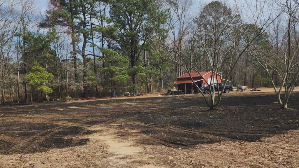Brushfire