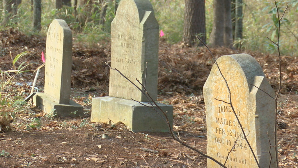UNCW Is partnering with the Historic Wilmington Foundation to find unmarked graves at a historic cemetery. (Photo:Nate Mauldin/WWAY News)