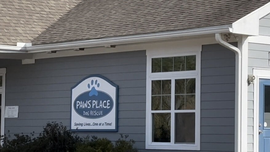 Paws Place