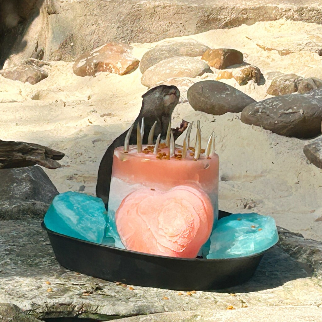 Otter