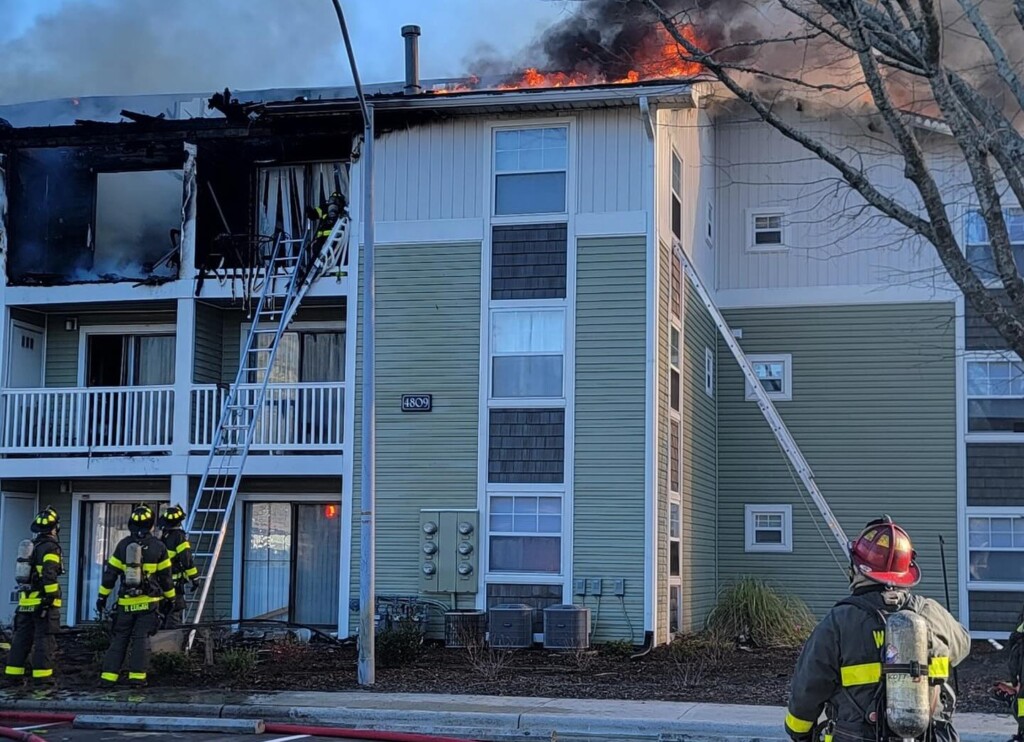 Wfd Fire