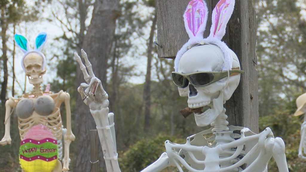 A familiar sight for drivers in Supply. "The Skeletons" as they are affectionately known have been posing on the side of Boone's Neck Rd. for nearly two years... Changing costumes and positions for nearly every holiday.  (Photo:Nate Mauldin/WWAY)