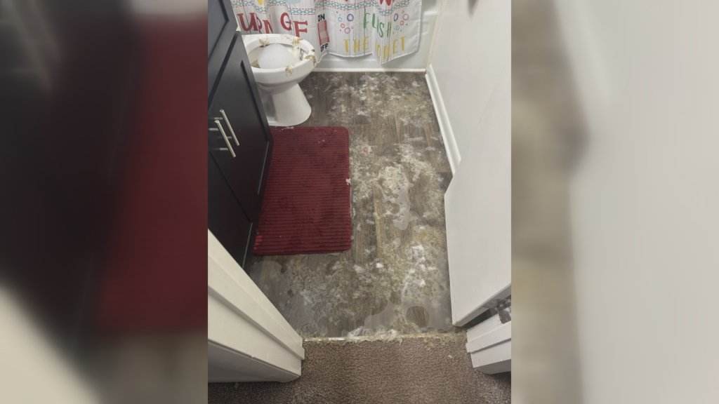 Residents at a Wilmington apartment complex are flooded with frustration after sewage problems left them with unfit living conditions, (Photo: Courtesy of Vickie Thomas).