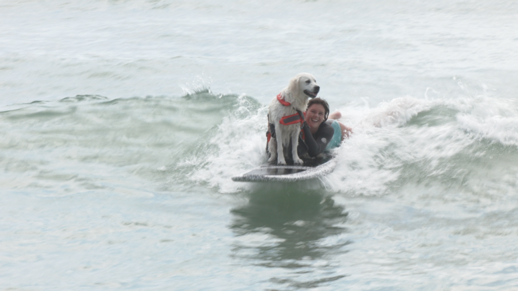 9th annual Surf Dog Experience