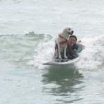9th annual Surf Dog Experience