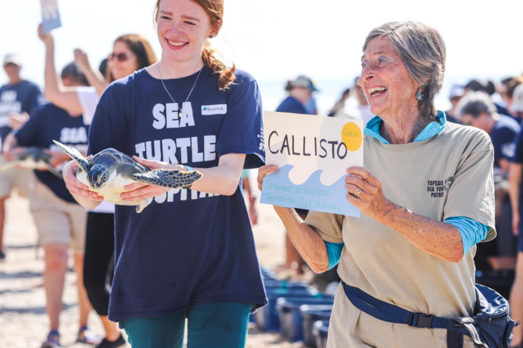 Karenbeasleyseaturtlerelease