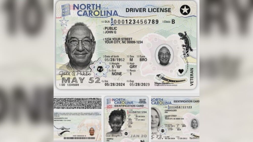 License Pic