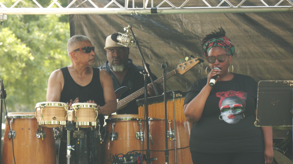 The festival held at Maides Park hosted dozens of vendors and nonprofit organizations from across the Cape Fear, and a stage for live music. (Photo: Nate Mauldin/WWAY)