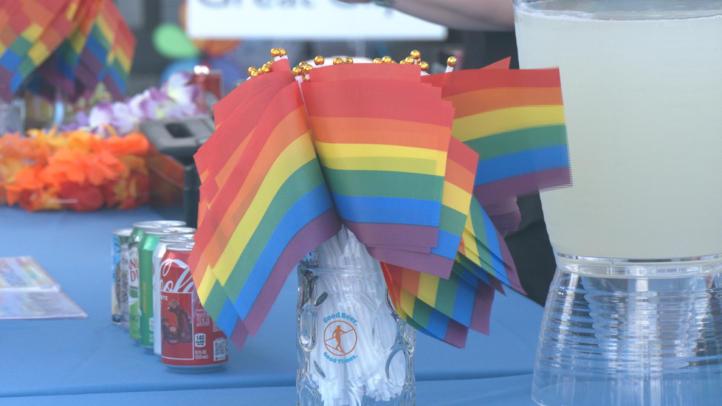 On Sunday, hundreds attended Pride Fest 2024 at Hi Wire Brewing. The festival is among the first Pride Month events in Wilmington this year. (Photo: Nate Mauldin/WWAY)