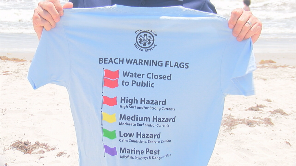 Beach Flag