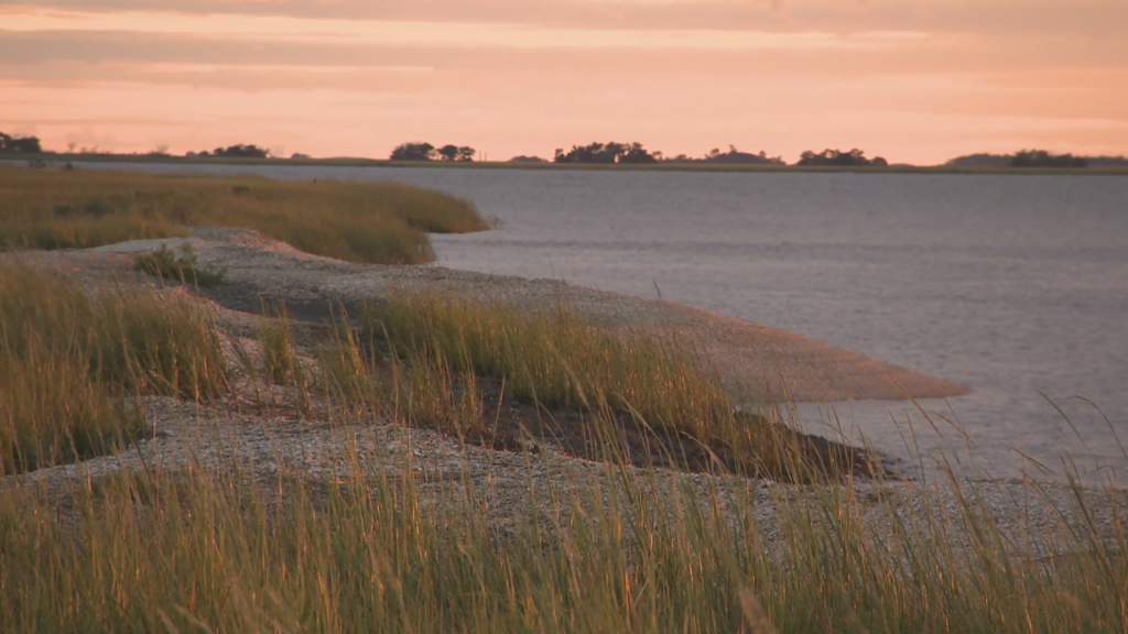 Sapelo Island, Georgia