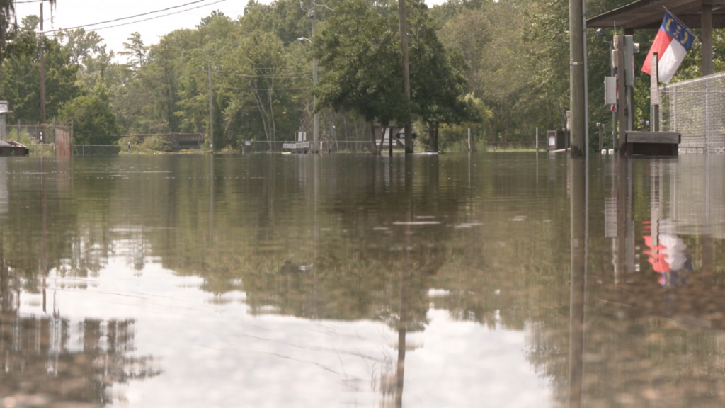 Fair Bluff floodwaters. (Photo: Tanner Blue/WWAY)