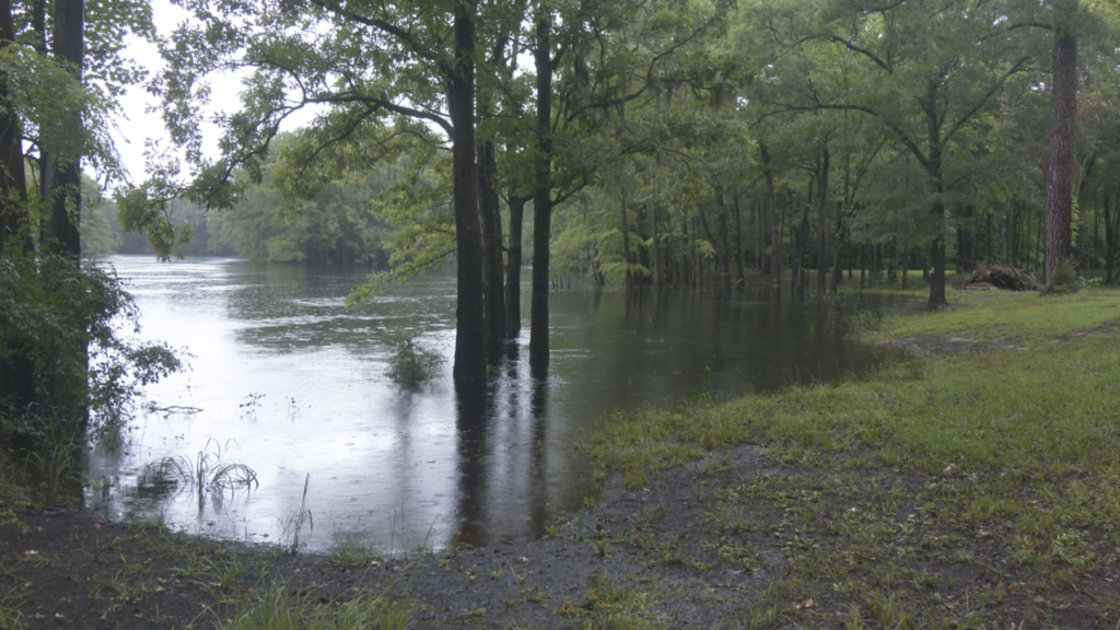 River cresting is expected through next week following Tropical Storm Debby. (Photo: Nate Mauldin/WWAY)