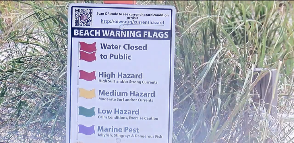 Beach Flags