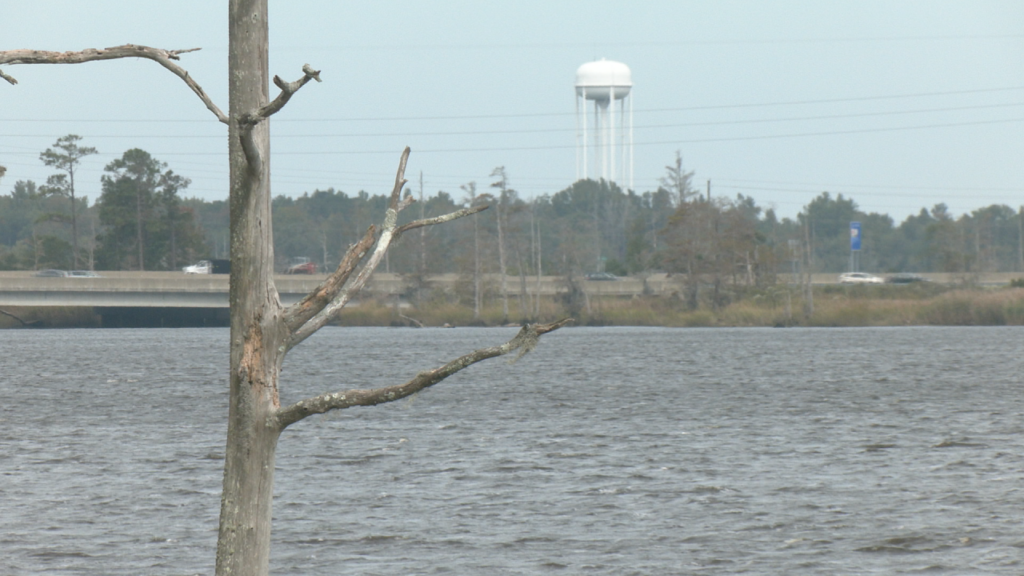 (Photo: Nate Mauldin/WWAY)