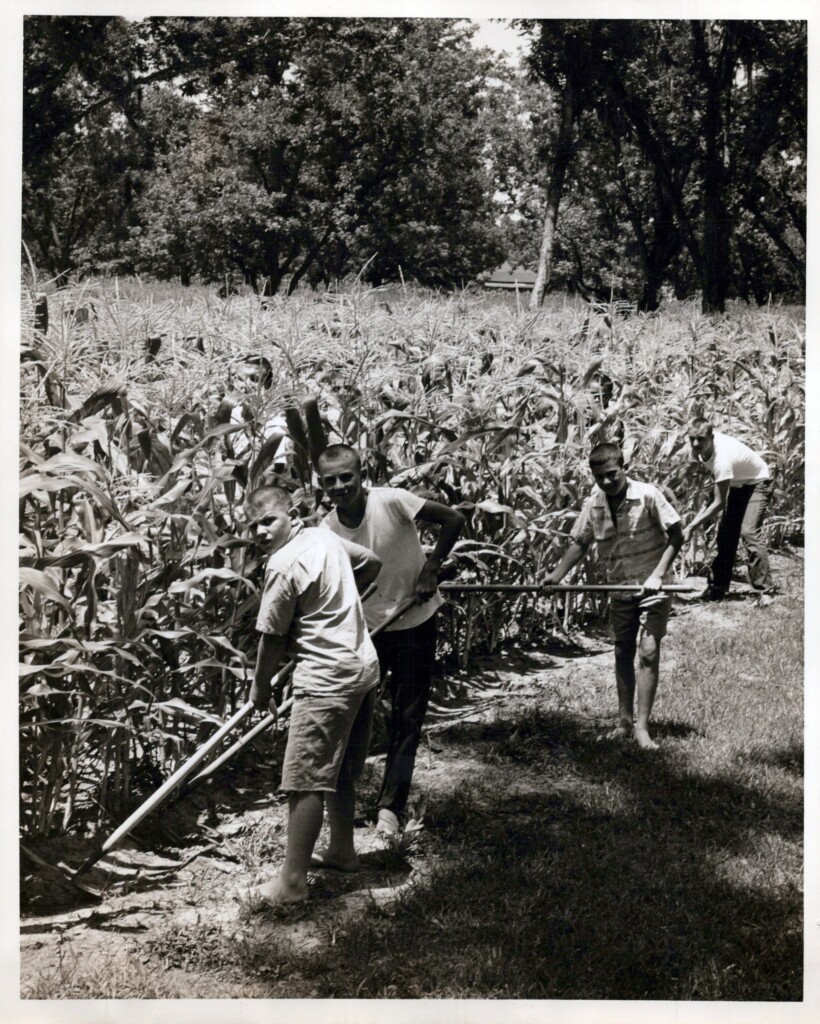 1950s Early Rube And Boys Photos 50s 0043 A