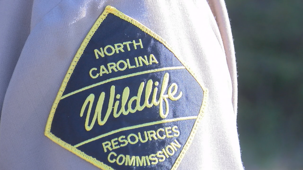 Nc Wildlife