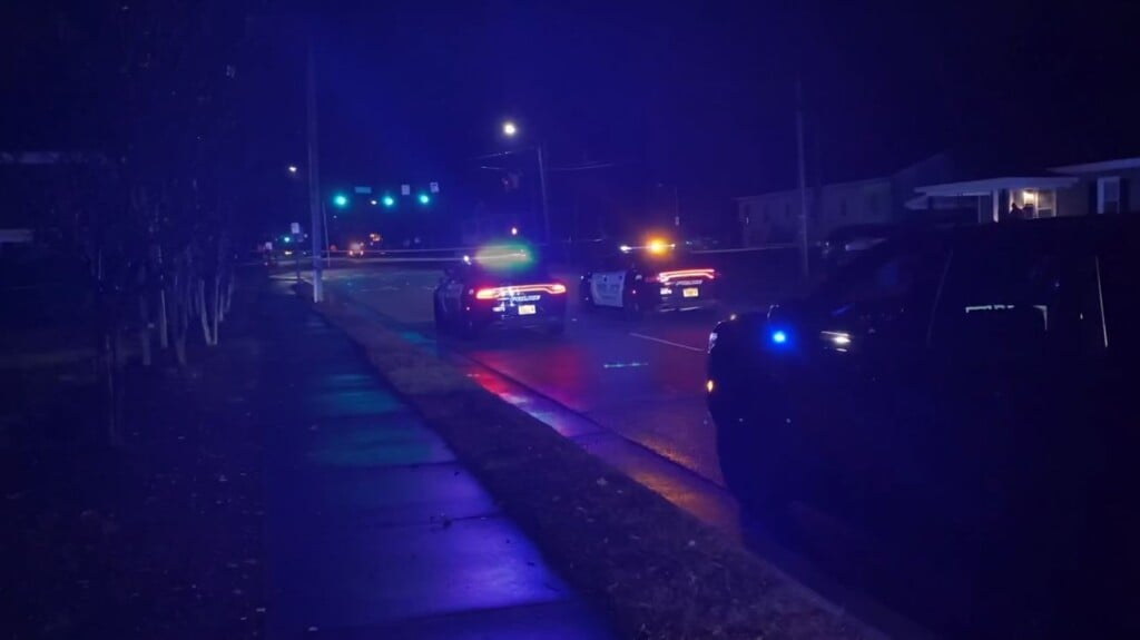 Pedestrian Hit