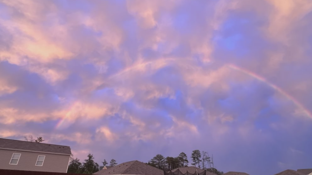 Sunset 1229