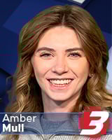 Ambermull Webphoto