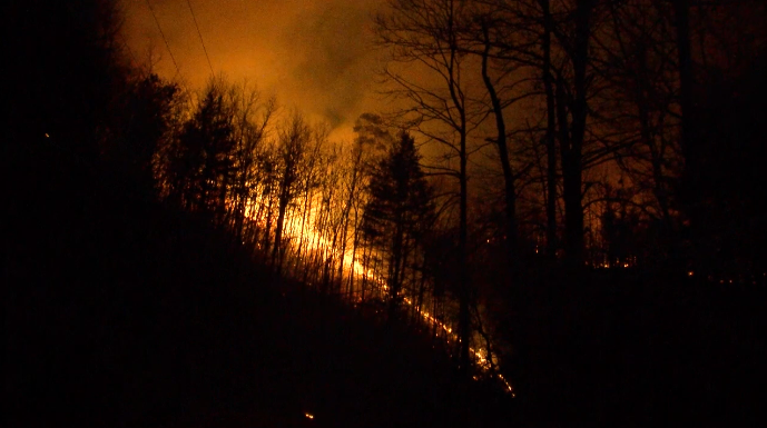 Fire
