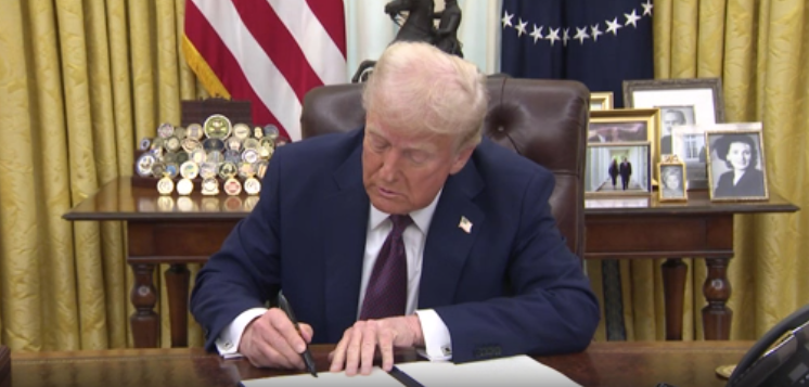 Trump Jfk Rfk Mlk