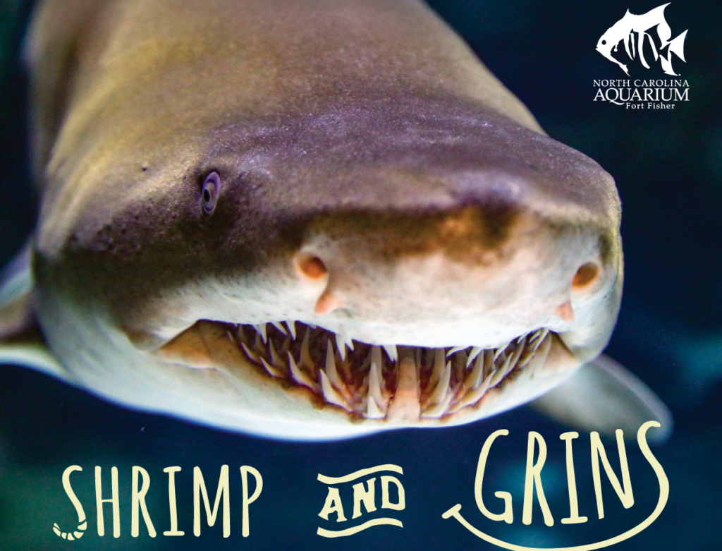 Shrimp And Grins Graphic 300x250