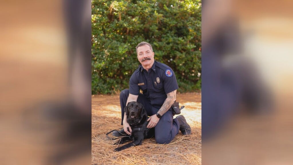 Crisis Response Facility Dog