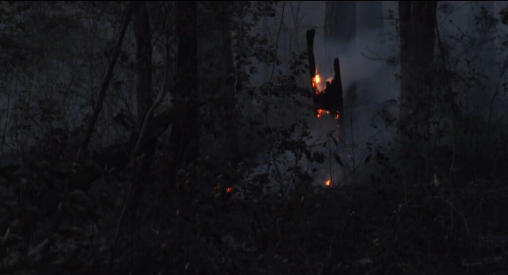 Wildfire In Columbus County 100 Percent Contained
