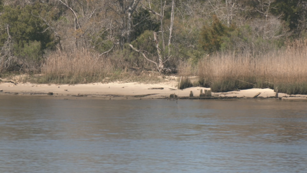 (Photo: Nate Mauldin/WWAY)