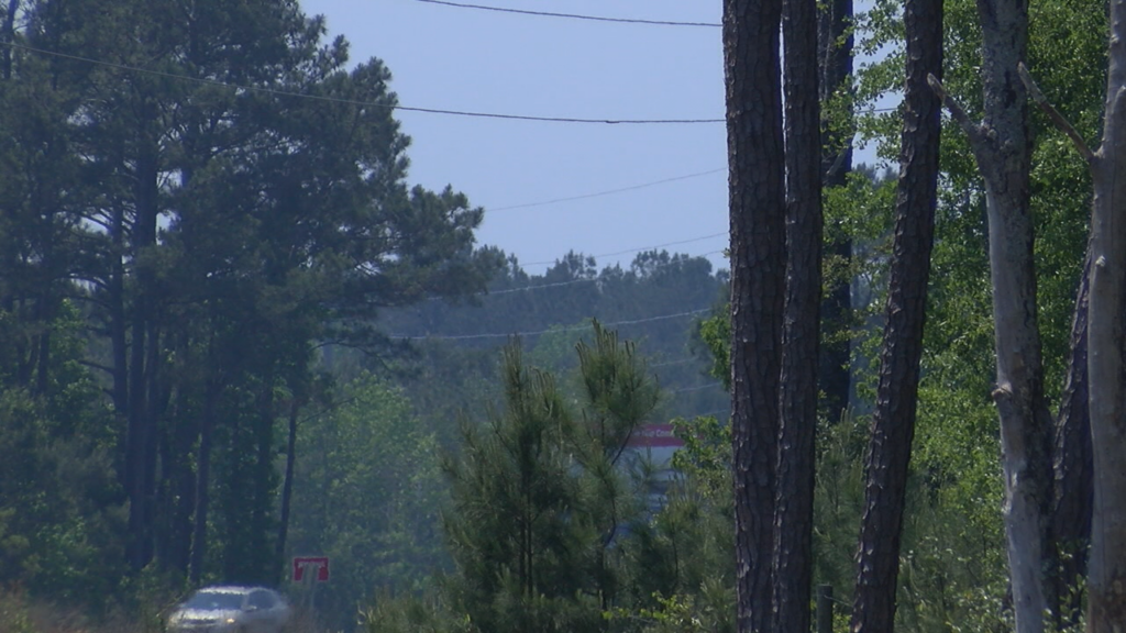 Controlled Burn Smoke