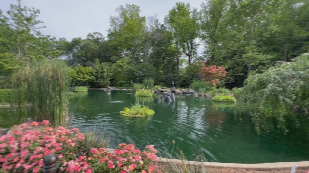 Garden Image