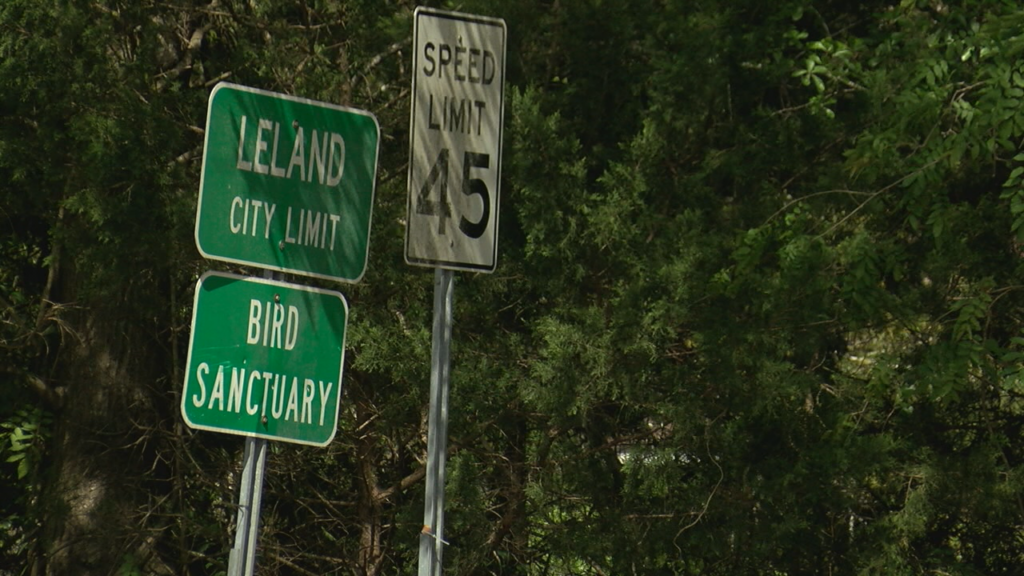 Leland Action Plan
