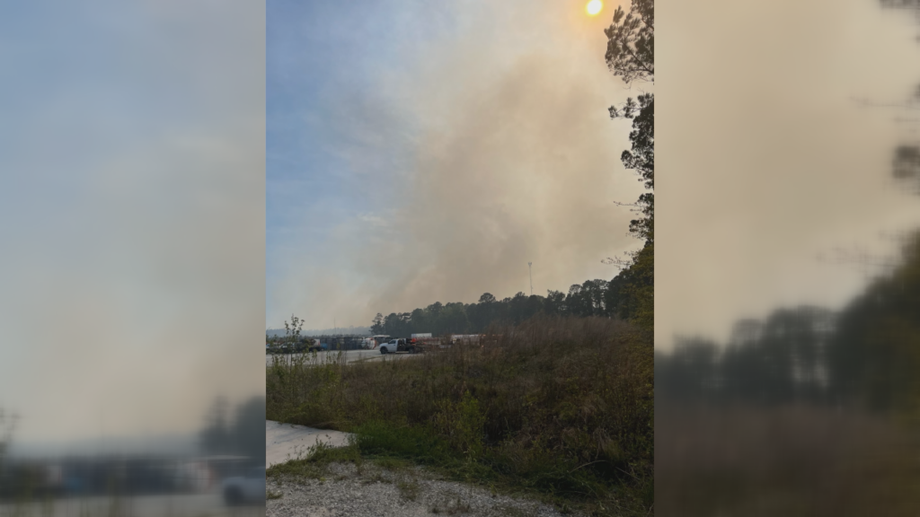 Wildfire Rocky Point Nc