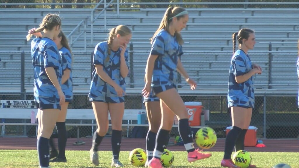 5 9 Gsoc Glax Blax Seeding Reveal