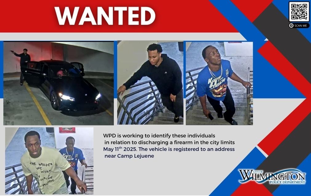 Wanted Gfx 2024