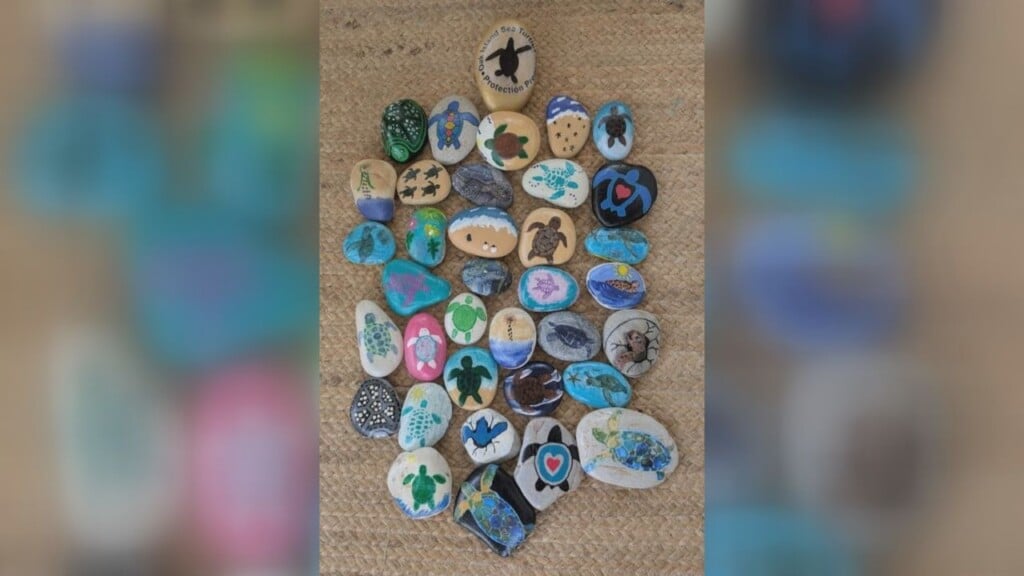 Turtle Rocks