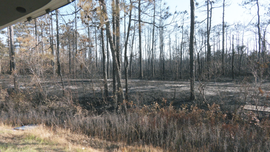 Bsl Fire