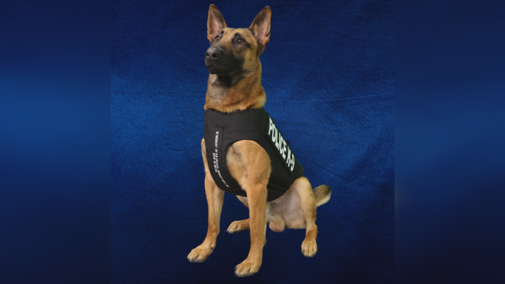 K9 Zeus