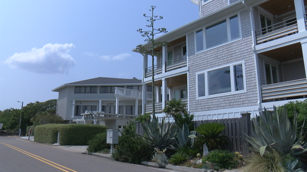 Century Plant Wrightsville Beach