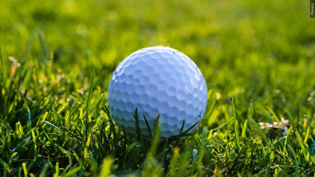 Golf Ball On Grass