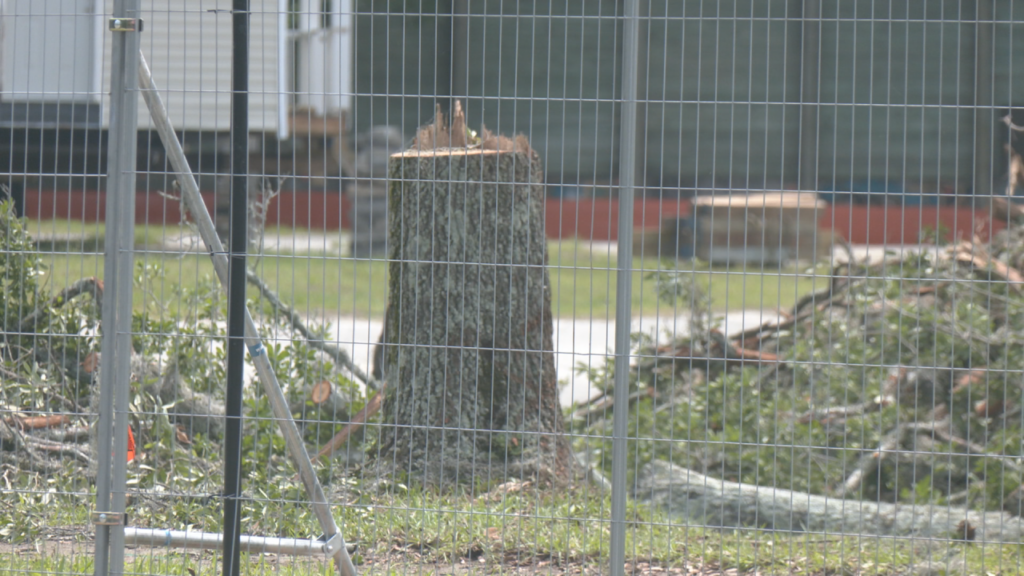 (Photo: Nate Mauldin/WWAY)