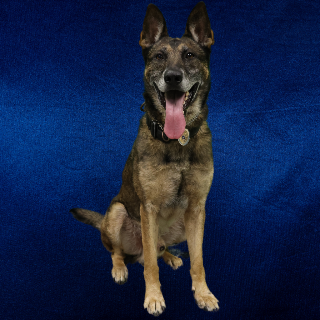 K9 Blu