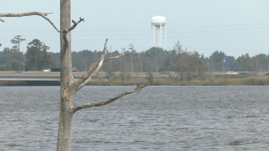 (Photo: Nate Mauldin/WWAY)