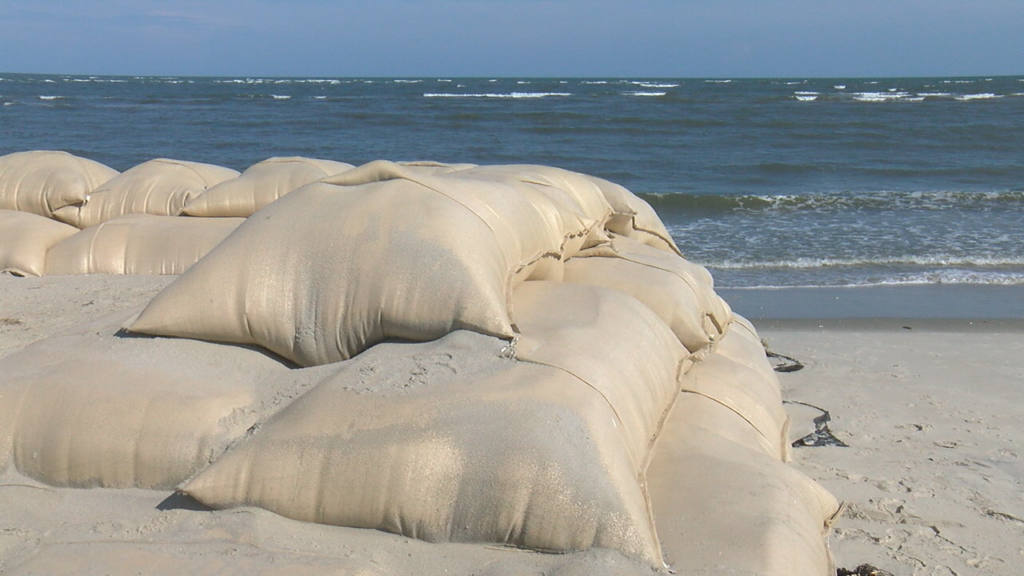 Oib